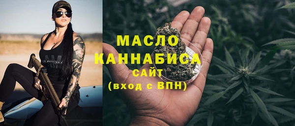 хмурый Аркадак