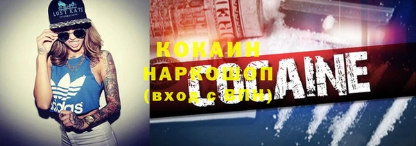 хмурый Аркадак