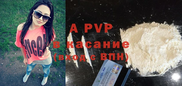 хмурый Аркадак