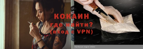 хмурый Аркадак
