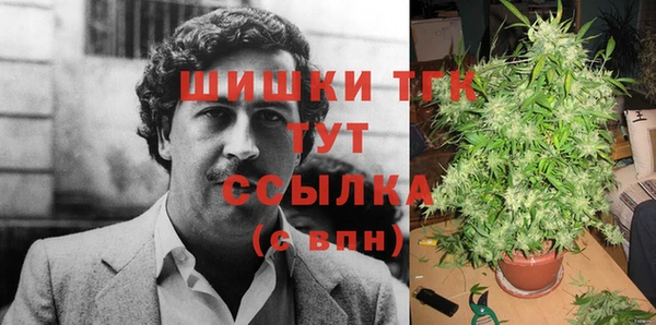 хмурый Аркадак