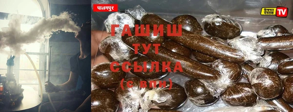 хмурый Аркадак