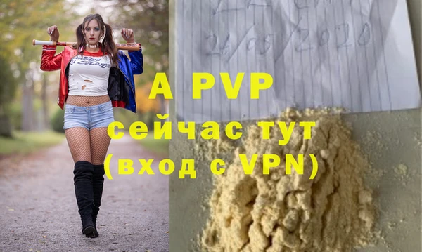 хмурый Аркадак
