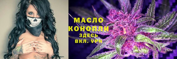 хмурый Аркадак