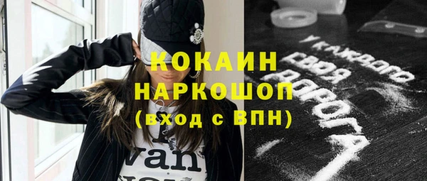 хмурый Аркадак