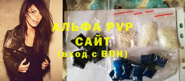 хмурый Аркадак