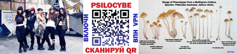 Галлюциногенные грибы Cubensis  Купить  Благодарный 