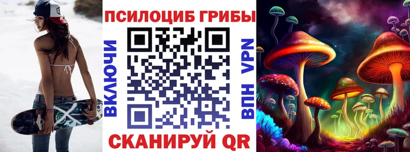 Галлюциногенные грибы Cubensis Благодарный